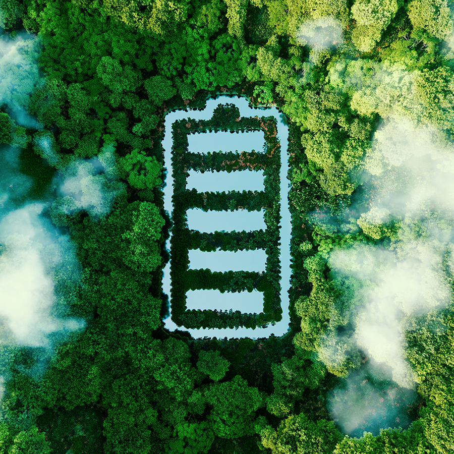 See in Form eines Batterie-Icons im Wald als Symbolbild für das Batteriegesetz