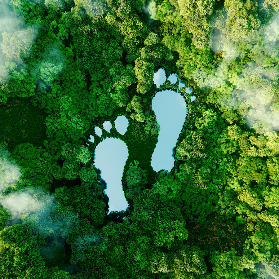 Zwei Seen in Fußform im Wald als Symbolbild für Nachhaltigkeit