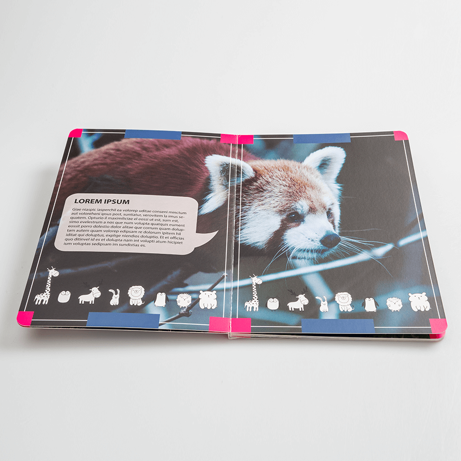Aufgeschlagenes Pappbilderbuch im Hochformat, mit vollfarbigem Druck und Layflat-Bindung