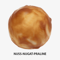 Nuss-Nugat-Praline
