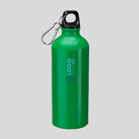 Aluminiumflasche mit Karabinerhaken, grün, frontal
