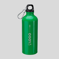 Aluminiumflasche mit Karabinerhaken, grün, frontal