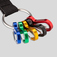 Schlüsselanhänger, verschiedene farben, karabina