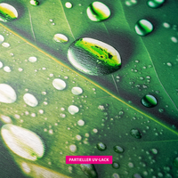 Aluminiumverbundplatte silber gebürstet