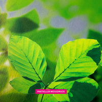 Aluminiumverbundplatte silber gebürstet