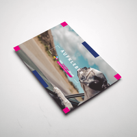 Aufkleber DIN A5 quer, Ansicht des farbbrillanten Drucks, Druckbild nach links schauender Hund der aus fahrendem Auto lehnt