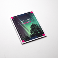 Aufkleber DIN A7, Ansicht des farbbrillanten Drucks, Druckbild Nordlichter und Siluhette eines Baumes