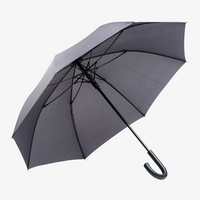 Sturmschirm mit gebogenem Kundstoffgriff, offen