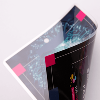 Backstagepass, farbig bedruckt, gebogen mit Loch