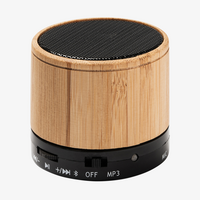 Bluetooth Lautsprecher aus Bambus mit Radio, Schwarz