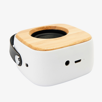 Lautsprecher mit ABS-Gehaeuse, Holz liegend