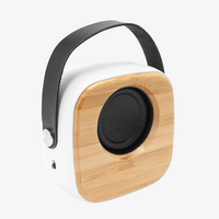 Lautsprecher mit ABS-Gehaeuse, Holz Vorderseite