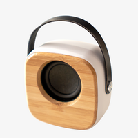 Lautsprecher mit ABS-Gehaeuse, Holz Vorderseite