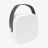 Lautsprecher mit ABS-Gehaeuse, Holz Rueckseite