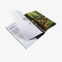 Broschuere, farbig bedruckt, Aufgeschlagen liegend