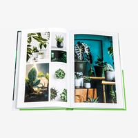 Buch, farbig bedruck, aufgeschlagen