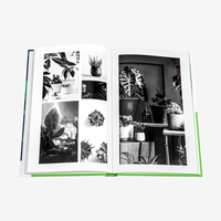 Buch, bedruckt, Motiv, aufgefaltet