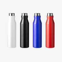 Edelstahl-Isolierflasche 600 ml Farbauswahl