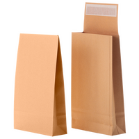 Faltentasche mit Klotzboden (17,6 x 25 x 3 cm), haftklebend ohne Fenster, unbedruckt braun