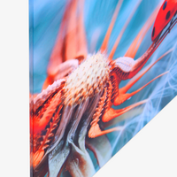 Fina Art, farbig bedruckt, Motiv, details