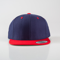 FLEXFIT - Classic Snapback 2-Tone Cap, unbesticktes Muster