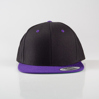 FLEXFIT - Classic Snapback 2-Tone Cap, unbesticktes Muster