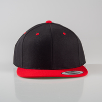 FLEXFIT - Classic Snapback 2-Tone Cap, unbesticktes Muster