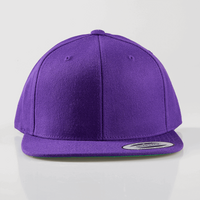 FLEXFIT - Classic Snapback Cap, unbesticktes Muster