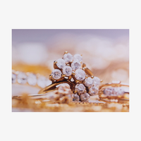 Foto, farbig bedruckt, Motiv