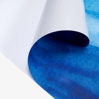 Klebefolie, farbig bedruckt, Motiv, details