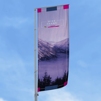 Fahne, farbig bedruckt, Motiv