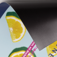 Magnetfolie, farbig bedruckt, rechteckig, Zitronen Motiv