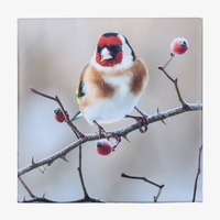 Hochwertige Leinwand inkl. Holz-Keilrahmen 2 cm, farbig bedruckt, frontal