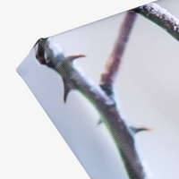 Hochwertige Leinwand inkl. Holz-Keilrahmen 2 cm, farbig bedruckt, detail