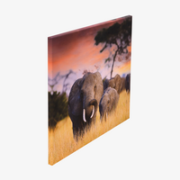 Leinwand, Farbig bedruckt, Motiv