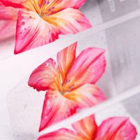 Etiketten, frarbig bedruckt, details