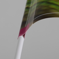 Papierfahne mit Kunststoffstab, bedruckt mit Text