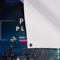 PVC-Plane, farbig bedruckt einseitig, mit Öse