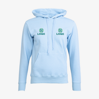 Hoodie, bestickt, Vorderansicht