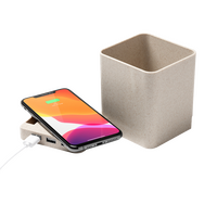 Induktiver Stiftehalter aus Weizenfasern 5 W