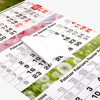 Kalendermuster 3-Monatswandkalender (Mehrblock), Kalenderblatt