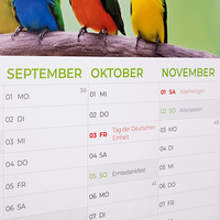 Kalendermuster Jahresplaner Monate