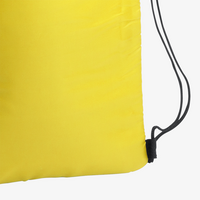 Kühlbeutel mit Zugkordel, ohne Werbeanbringung