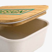 Kunststoff-Lunchbox Detail Deckel