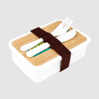 Kunststoff-Lunchbox Draufsicht mit Besteck