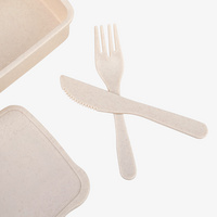 Kunststoff-Lunchbox Detail Besteck