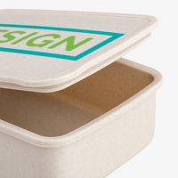 Kunststoff-Lunchbox Detail Deckel