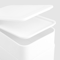 Kunststoff-Lunchbox Detail Deckel