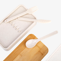 Kunststoff-Lunchbox Detail Besteck