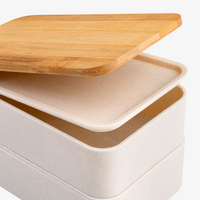 Kunststoff-Lunchbox Detail Deckel